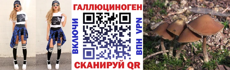 Галлюциногенные грибы Magic Shrooms  Купить где  Набережные Челны 